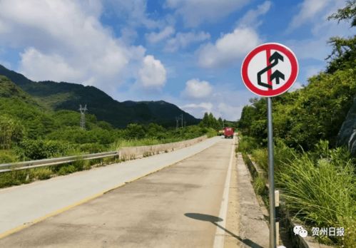 抓拍哦 賀州這些路段新增道路監控設備